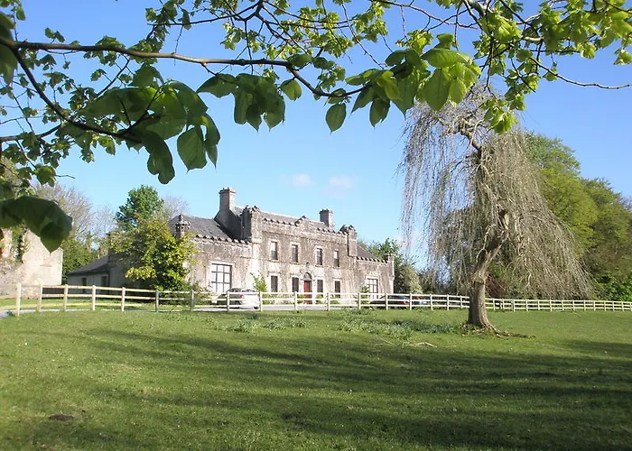 Newpark House شانون